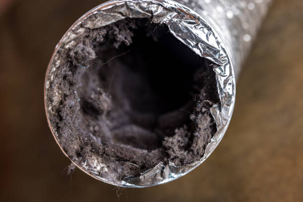Best Residential Air Duct Cleaning  in Coal Fork, WV